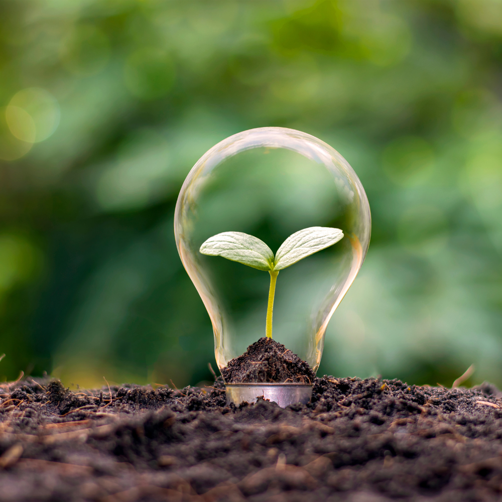 Sustainable Cooling Solutions: Midea's Contribution to Reducing Energy Consumption in Pakistan
